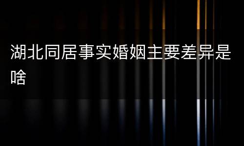 湖北同居事实婚姻主要差异是啥