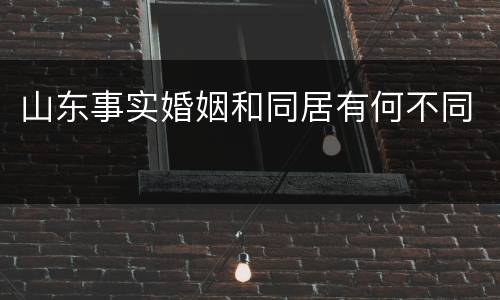 山东事实婚姻和同居有何不同