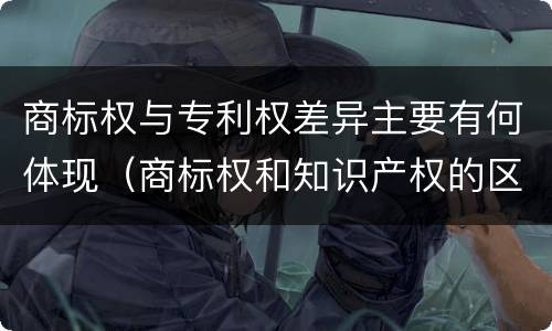 商标权与专利权差异主要有何体现（商标权和知识产权的区别）
