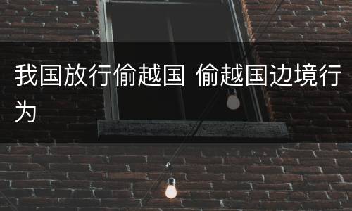 我国放行偷越国 偷越国边境行为