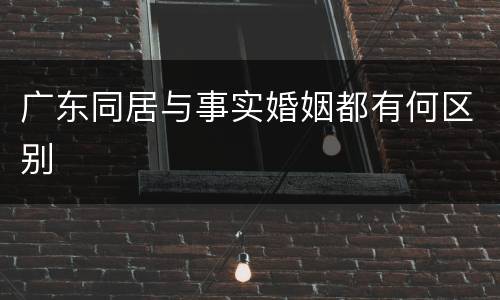 广东同居与事实婚姻都有何区别