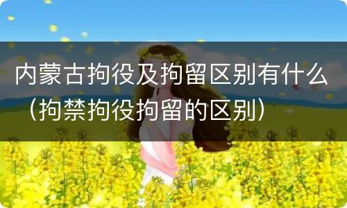 内蒙古拘役及拘留区别有什么（拘禁拘役拘留的区别）