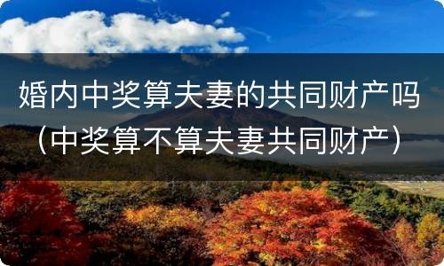 婚内中奖算夫妻的共同财产吗（中奖算不算夫妻共同财产）