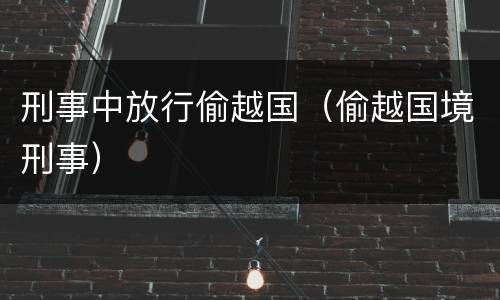 刑事中放行偷越国（偷越国境刑事）