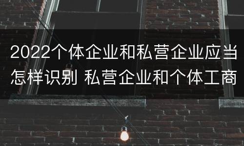 2022个体企业和私营企业应当怎样识别 私营企业和个体工商户在各种形式的企业组织中