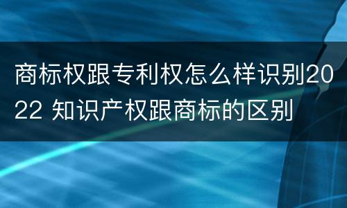 商标权跟专利权怎么样识别2022 知识产权跟商标的区别