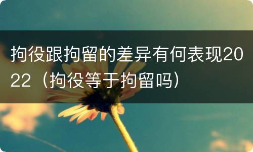 拘役跟拘留的差异有何表现2022（拘役等于拘留吗）
