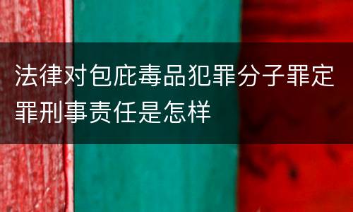 法律对包庇毒品犯罪分子罪定罪刑事责任是怎样