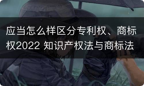 应当怎么样区分专利权、商标权2022 知识产权法与商标法
