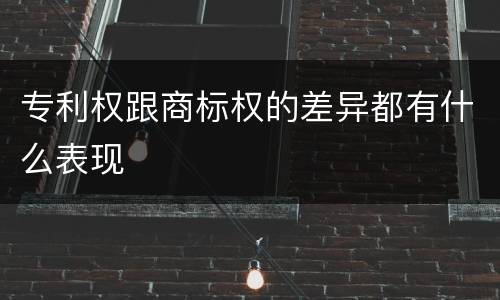 专利权跟商标权的差异都有什么表现