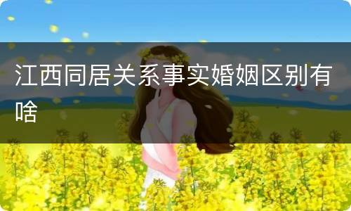 江西同居关系事实婚姻区别有啥