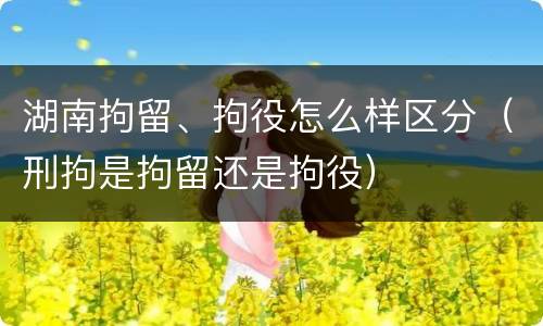 湖南拘留、拘役怎么样区分（刑拘是拘留还是拘役）