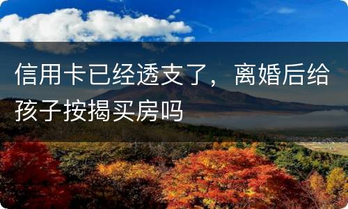 信用卡已经透支了，离婚后给孩子按揭买房吗