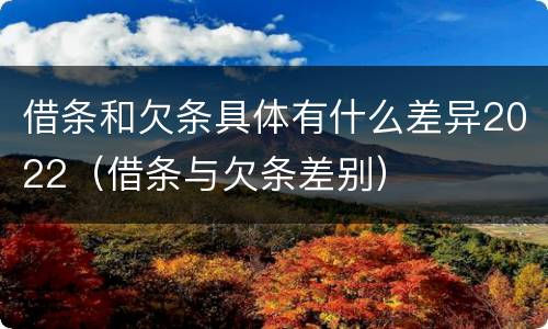 借条和欠条具体有什么差异2022（借条与欠条差别）