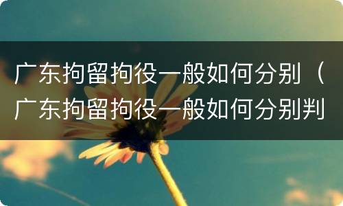 广东拘留拘役一般如何分别（广东拘留拘役一般如何分别判刑）