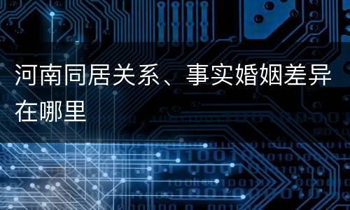 河南同居关系、事实婚姻差异在哪里