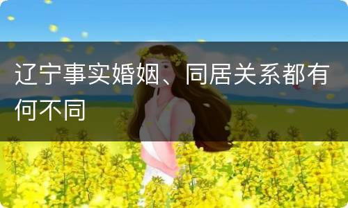 辽宁事实婚姻、同居关系都有何不同