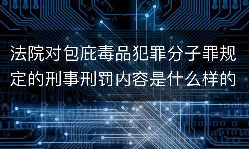 法院对包庇毒品犯罪分子罪规定的刑事刑罚内容是什么样的