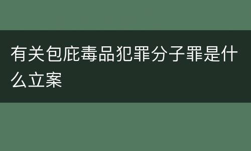 有关包庇毒品犯罪分子罪是什么立案
