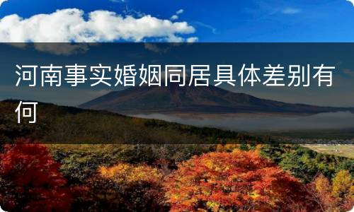 河南事实婚姻同居具体差别有何