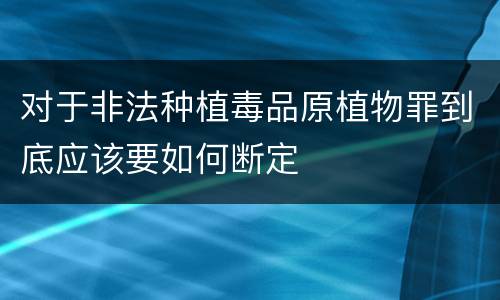 对于非法种植毒品原植物罪到底应该要如何断定