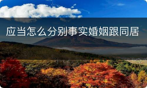 应当怎么分别事实婚姻跟同居