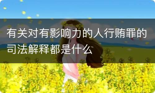有关对有影响力的人行贿罪的司法解释都是什么