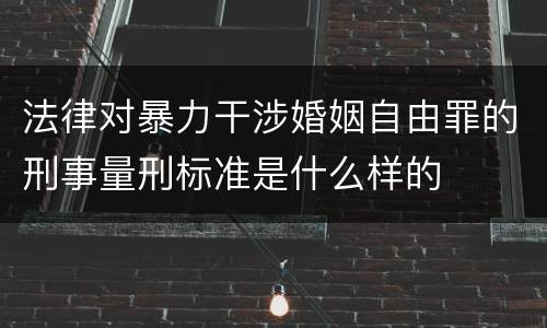 法律对暴力干涉婚姻自由罪的刑事量刑标准是什么样的
