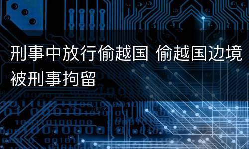刑事中放行偷越国 偷越国边境被刑事拘留