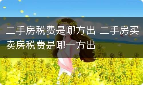 二手房税费是哪方出 二手房买卖房税费是哪一方出