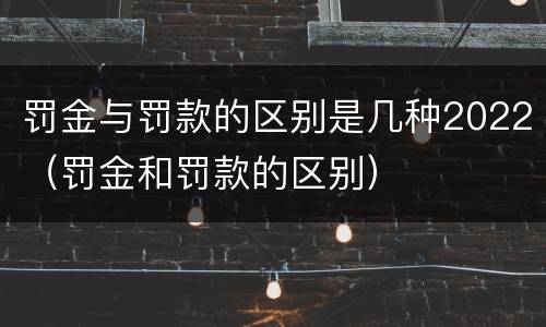 罚金与罚款的区别是几种2022（罚金和罚款的区别）