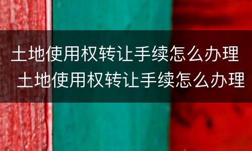 土地使用权转让手续怎么办理 土地使用权转让手续怎么办理的