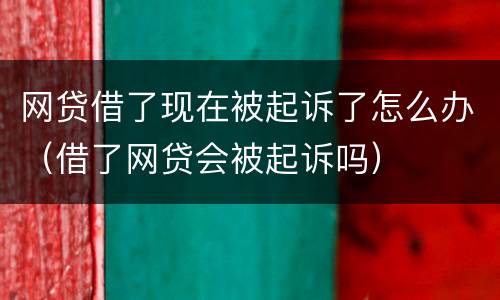 网贷借了现在被起诉了怎么办（借了网贷会被起诉吗）
