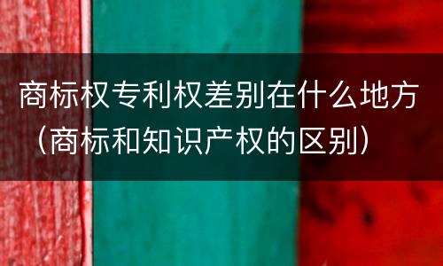 商标权专利权差别在什么地方（商标和知识产权的区别）