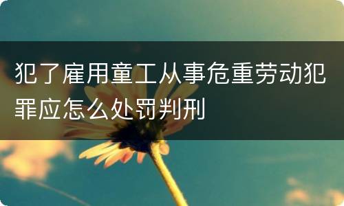 犯了雇用童工从事危重劳动犯罪应怎么处罚判刑