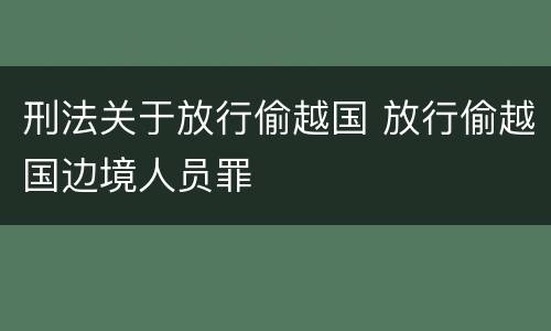 刑法关于放行偷越国 放行偷越国边境人员罪