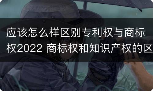 应该怎么样区别专利权与商标权2022 商标权和知识产权的区别