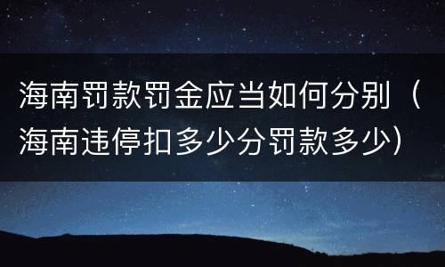 海南罚款罚金应当如何分别（海南违停扣多少分罚款多少）