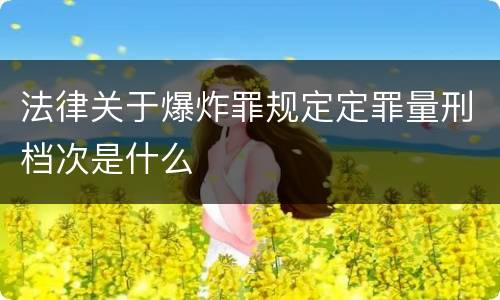 法律关于爆炸罪规定定罪量刑档次是什么