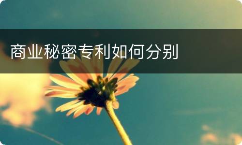 商业秘密专利如何分别