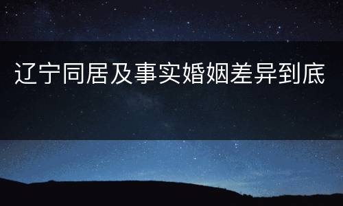 辽宁同居及事实婚姻差异到底