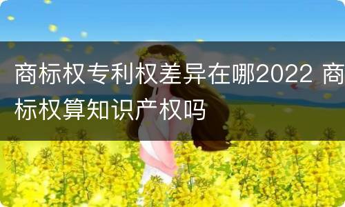 商标权专利权差异在哪2022 商标权算知识产权吗