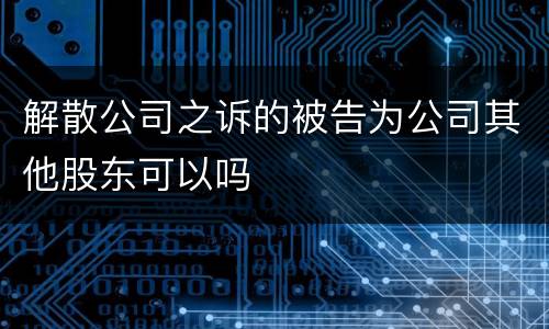 解散公司之诉的被告为公司其他股东可以吗