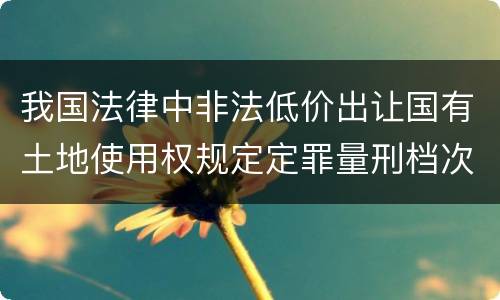 我国法律中非法低价出让国有土地使用权规定定罪量刑档次
