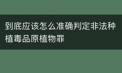 到底应该怎么准确判定非法种植毒品原植物罪