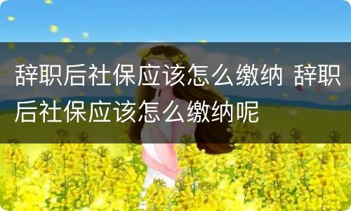 辞职后社保应该怎么缴纳 辞职后社保应该怎么缴纳呢