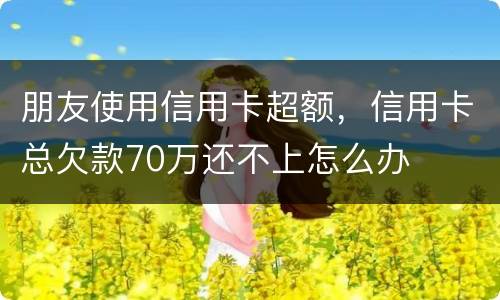 朋友使用信用卡超额，信用卡总欠款70万还不上怎么办