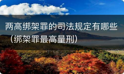 两高绑架罪的司法规定有哪些（绑架罪最高量刑）
