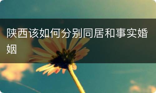 陕西该如何分别同居和事实婚姻