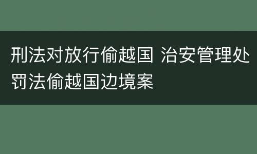 刑法对放行偷越国 治安管理处罚法偷越国边境案